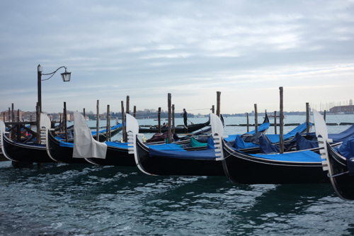 威尼斯岸邊停靠的貢多拉。 （《歐洲時(shí)報(bào)》意大利版/特約記者 劉欣攝）