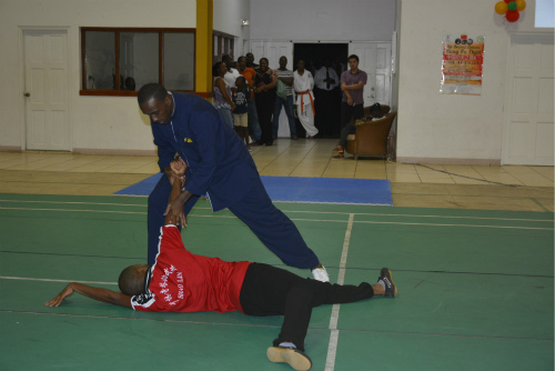 武術(shù)表演。