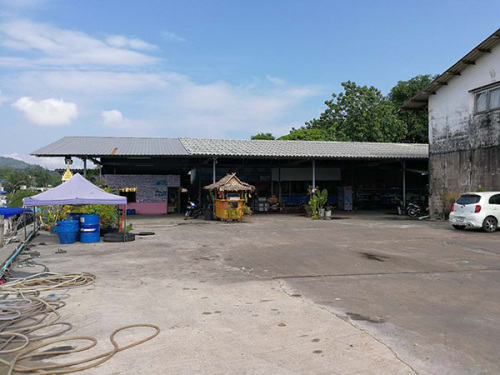 涉事碼頭 泰府碼頭 涉事碼頭 泰府碼頭