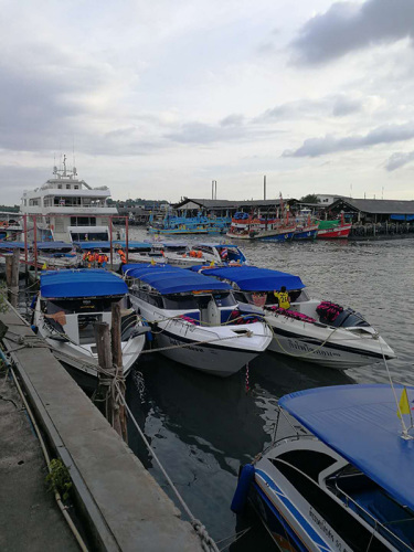 涉事碼頭泰府(音)碼頭的快艇以及周邊環(huán)境。澎湃新聞記者 于瀟清 圖