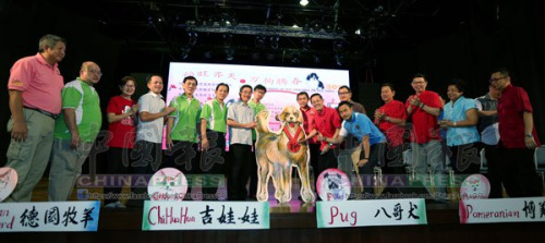 “福旺齊天，萬狗騰春”大型現(xiàn)場(chǎng)繪萬狗圖揮毫啟動(dòng)儀式。