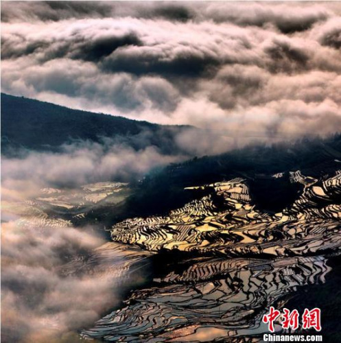 尤溪聯合梯田風光。　劉建光 攝