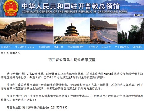 截圖自中國駐南非開普敦總領(lǐng)館網(wǎng)站。