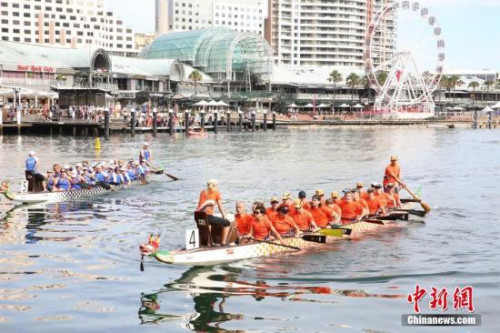 2月24日，悉尼達(dá)令港舉行龍舟賽，吸引3000多名參賽者，為中國(guó)農(nóng)歷新年佳節(jié)添彩。圖為參賽龍舟隊(duì)在比賽中。 <a target='_blank' >中新社</a>記者 陶社蘭 攝