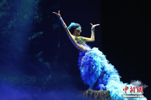 當?shù)貢r間2月25日晚，2018年“文化中國·四海同春”藝術團在美國南部城市休斯敦舉行慰僑綜藝晚會。圖為休斯敦華星藝術團13歲演員表演舞蹈《孔雀》。休斯敦是2018年“文化中國·四海同春”藝術團赴美演出的首站，獲得休斯敦華人華僑的熱情回應。其后，該藝術團還將奔赴美國奧蘭多、舊金山、芝加哥演出。<a target='_blank' >中新社</a>記者 曾靜寧 攝