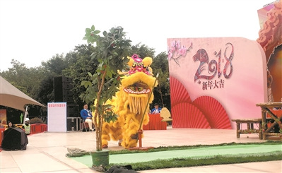 醒獅踩竹竿，魚青高高飛起。廣州日?qǐng)?bào)全媒體記者劉鵬飛攝