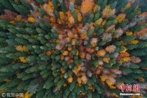 當(dāng)?shù)貢r(shí)間2017年10月31日，土耳其博盧省，航拍當(dāng)?shù)氐那锶诊L(fēng)光，美不勝收。 圖片來(lái)源：視覺(jué)中國(guó)