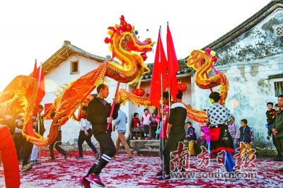 興寧賞燈舞龍。何森垚 攝