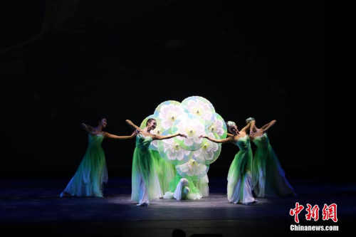 當?shù)貢r間2月28日晚，由中國國務院僑辦主辦的2018年“文化中國·四海同春”晚會在美國佛羅里達州奧蘭多舉行。這是該慰僑演出首次登上奧蘭多的舞臺，迎來近千名來自奧蘭多、坦帕、邁阿密的華人華僑前來觀看。聲樂、器樂、京劇等表演令觀眾大呼過癮。圖為中國東方演藝集團(原東方歌舞團)的演員們表演舞蹈《茉莉花開》。<a target='_blank' >中新社</a>記者 曾靜寧 攝