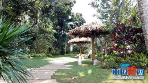 南強(qiáng)村優(yōu)美的自然風(fēng)光?！堒缫?攝