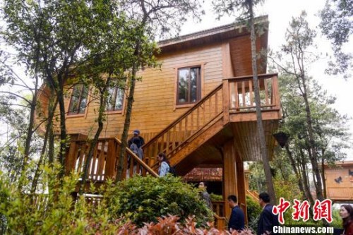 造型別致、與自然和諧相融的木屋酒店?！钊A峰 攝