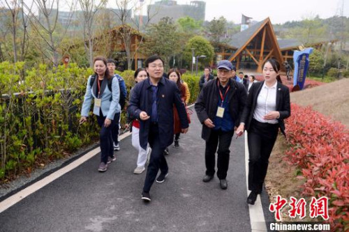 海外華媒走進長沙潯龍河村追尋當代“山鄉(xiāng)巨變”故事?！钊A峰 攝