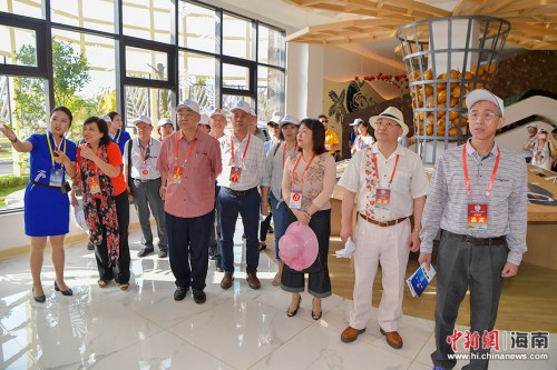 　4月2日，200多名在海南文昌參加2018年第七屆海南文昌南洋文化節(jié)的海內(nèi)外鄉(xiāng)親，前往春光椰子王國(guó)、昌鋪旅游公路、鋪前跨海大橋、瓊北大草原、文昌中學(xué)和清華大學(xué)附屬中學(xué)文昌學(xué)校項(xiàng)目，了解文昌近兩年在食品加工、交通基礎(chǔ)設(shè)施、旅游和教育方面的建設(shè)發(fā)展。(駱云飛 攝影)