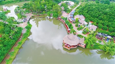 高空鳥瞰興隆咖啡谷。 本報記者 張茂 攝