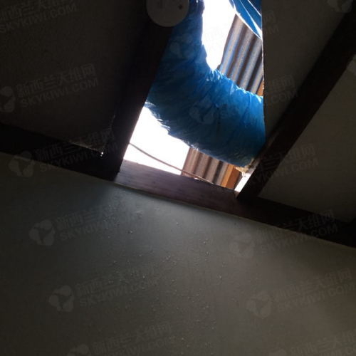 （新西蘭天維網 現場圖片由九九提供）