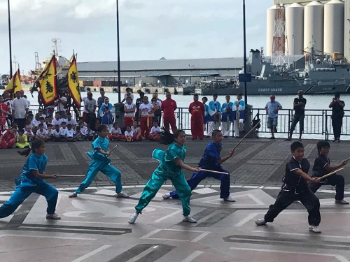 圖片來(lái)源：中國(guó)駐毛里求斯大使館網(wǎng)站