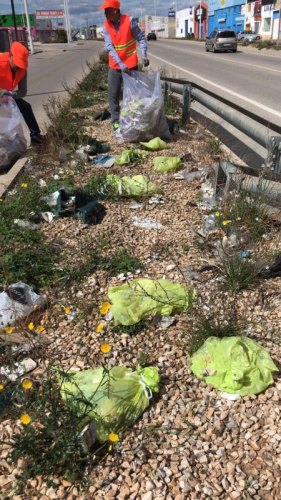 清掃行動現(xiàn)場