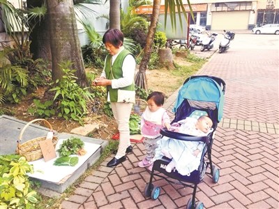 帶著孩子光顧無(wú)人菜攤的阿姨。