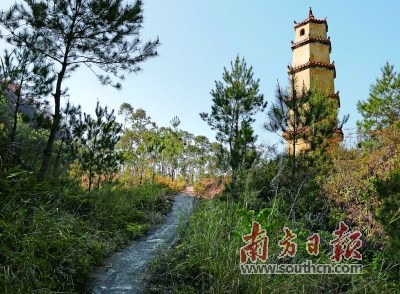 大埔三河壩--潮州饒平麒麟嶺古驛道上的遺存：余里古道，右邊是余峰塔。 劉招迎 攝