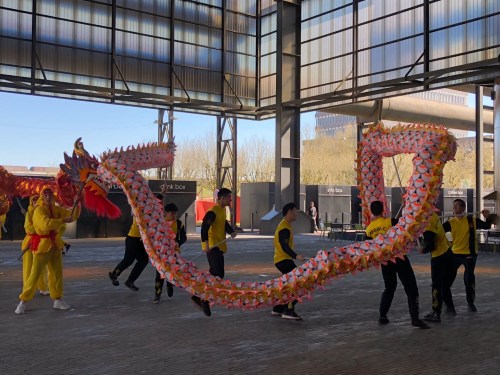 現(xiàn)場舞龍表演。（中國駐盧森堡大使館）