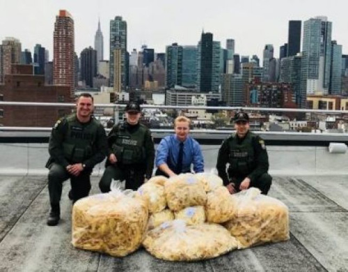 DEC日前沒收金門食品公司112磅的魚翅。(取自DEC官網)