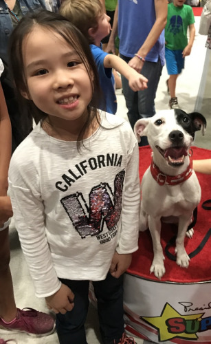 陳楚瑜喜愛(ài)動(dòng)物，一直想養(yǎng)狗。(美國(guó)《世界日?qǐng)?bào)》陳女士提供)