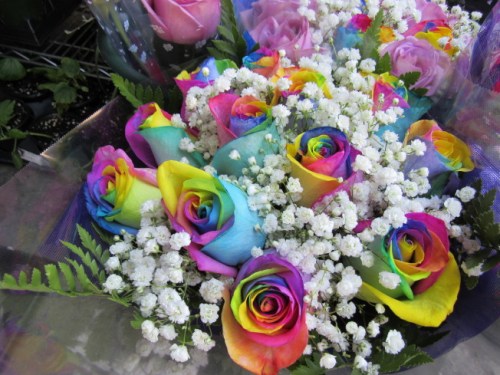 七彩玫瑰外型特別，也受到民眾喜愛。(美國《世界日報》/顏嘉瑩 攝)