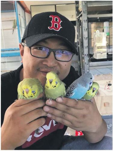 Song在自己的鳥房里。(《新西蘭中文先驅(qū)報》)