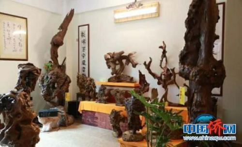 萬(wàn)寧根藝館的根雕作品?！蛆i 攝