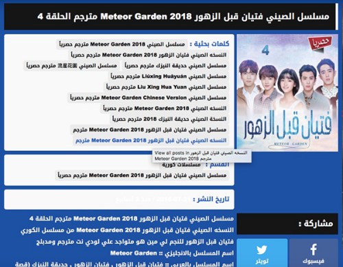 另一個字幕組lodynet所譯制的《新流星花園》劇集下載頁面。不同的字幕組在翻譯質(zhì)量、上傳時間等各方面存在競爭。