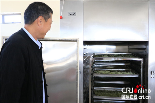 胡巖展示加入辣木粉的面條 胡巖展示加入辣木粉的面條