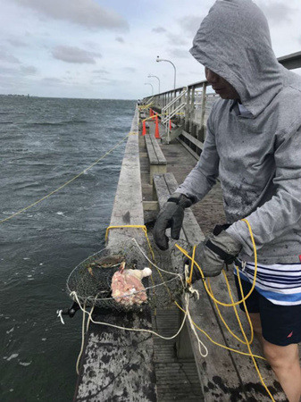 華裔民眾在長島捕蟹。（美國《僑報(bào)》/讀者提供）