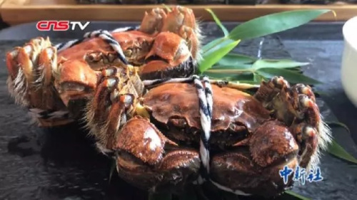 圖為中新視頻截屏 圖為中新視頻截屏