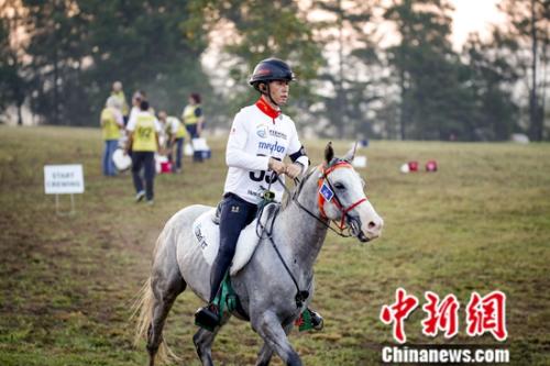 選手在比賽中。國際馬聯(lián)供圖 夏原浦攝