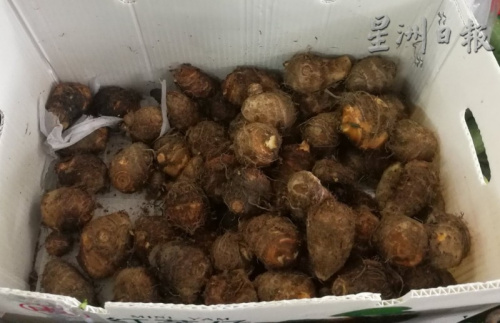 中秋節(jié)應(yīng)節(jié)食品小芋頭銷量慢熱。（馬來(lái)西亞《星洲日?qǐng)?bào)》）