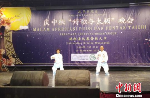 圖為中國“盧氏太極”表演?！＄娦?攝