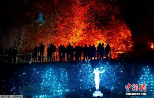 資料圖：德國柏林植物園舉辦燈光秀活動(dòng)，百萬彩燈裝點(diǎn)浪漫夜晚吸引民眾觀賞。