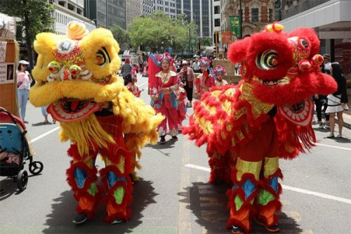 (新西蘭天維網(wǎng)) (新西蘭天維網(wǎng))