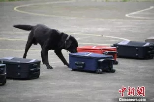 資料圖，圖文無關(guān)。