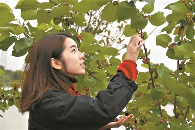 圖片來(lái)源:《廣州日?qǐng)?bào)》 劉鵬飛/攝 圖片來(lái)源:《廣州日?qǐng)?bào)》 劉鵬飛/攝