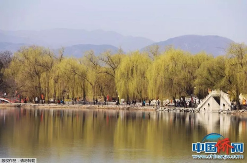 中國僑網(wǎng) 韓輝 攝