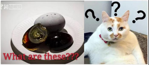 中新視頻截圖 中新視頻截圖