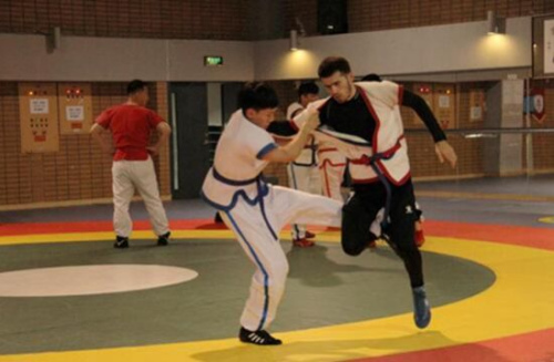 中國跤比賽。（圖片來源：中國華文基金會(huì)網(wǎng)站）