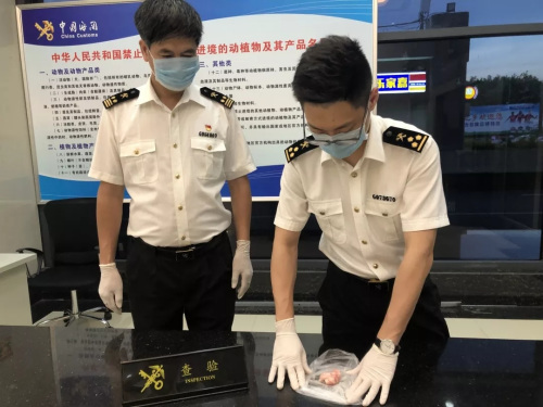 圖片來源：海關(guān)發(fā)布微信公眾號(hào)