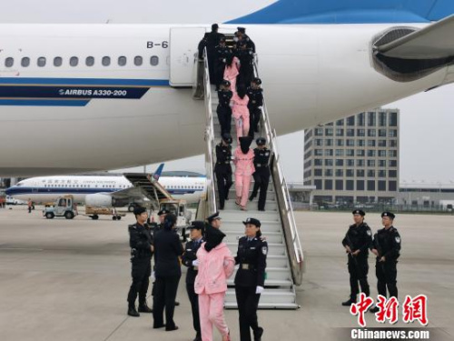 　10月15日，河南公安機(jī)關(guān)將136名電信網(wǎng)絡(luò)詐騙犯罪嫌疑人從老撾押解回國，涉及國內(nèi)多省市區(qū)的1200余起電信網(wǎng)絡(luò)詐騙案件成功告破。　劉鵬 攝