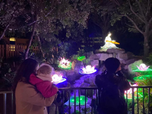 游客在花燈前觀賞留影。(法國(guó)《歐洲時(shí)報(bào)》/黃冠杰 攝)