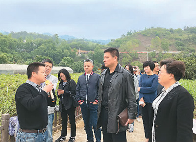 2019年5月，歐美同學(xué)會(huì)組織的海歸扶貧考察團(tuán)前往貴州省黔西南布依族苗族自治州望謨縣，為當(dāng)?shù)孛撠氈赂怀鲋\劃策。圖為工作人員正在向海歸代表介紹望謨縣情況。本報(bào)記者 孫亞慧攝