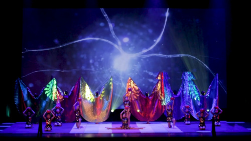 美國新澤西華夏普蘭斯堡中文學?！痘瘌P凰》