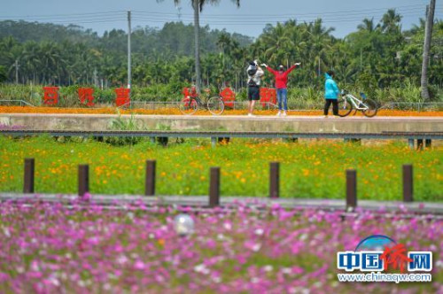 游客在花海中享受春日時(shí)光。　駱云飛 攝