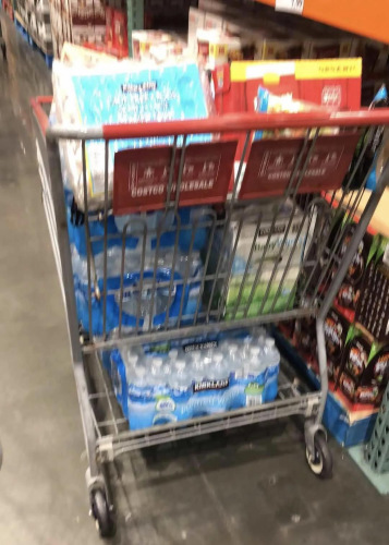 采購(gòu)得滿滿當(dāng)當(dāng)?shù)馁?gòu)物車。(圖片來(lái)源：作者提供)